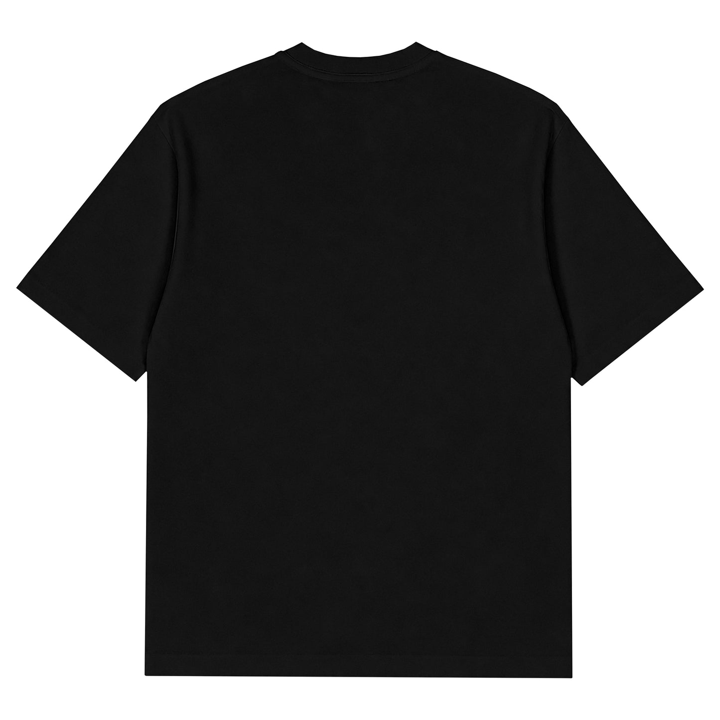 Ashes (T-Shirt)